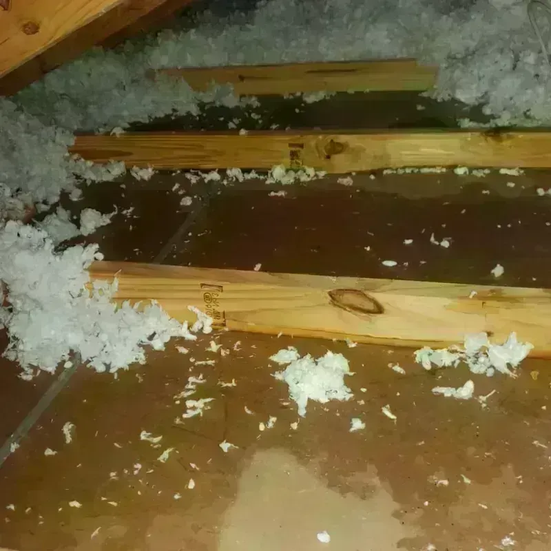 Attic Water Damage in McCreary County, KY